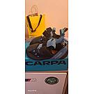 Kletterschuhe Scarpa Instinct VS-R