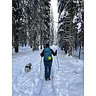 Damen Rucksack Salewa Alp Trainer 30+3