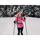 Damen Rucksack Salewa Alp Trainer 30+3