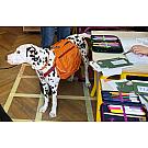 Hunde-Rucksack Ruffwear Approach