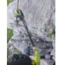 Klettersteiggerät Edelrid Cable Comfort Tri