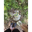 Altra Lone Peak 9+ Damen-Laufschuhe